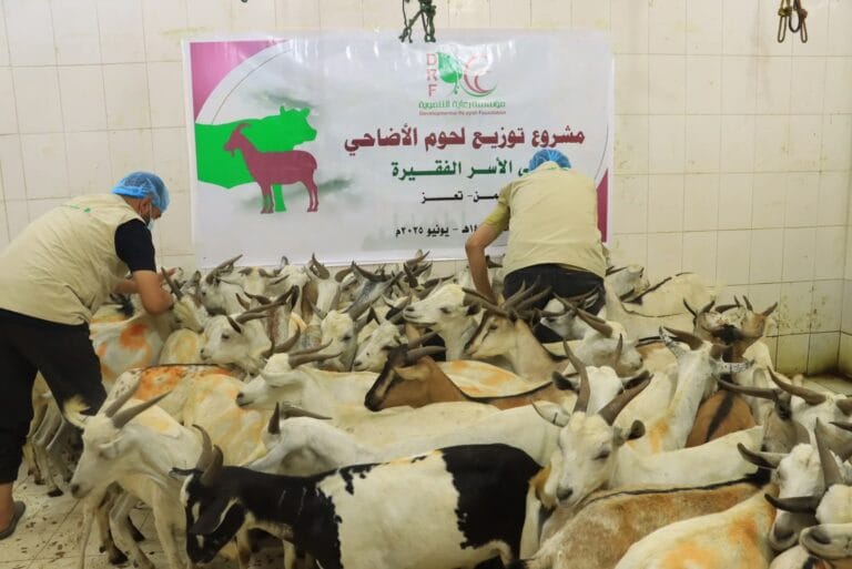 مؤسسة رعاية التنموية DRF تنفذ مشروع الأضاحي للعام 1446 – 2025م